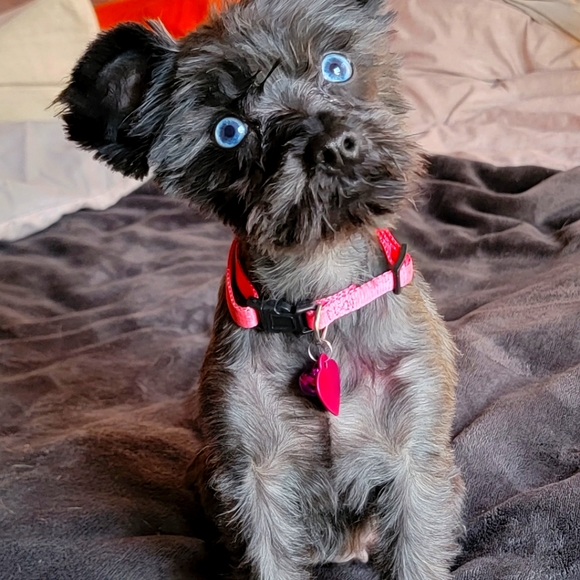 Meet your Posher, Melissa - Picture 9 of 11